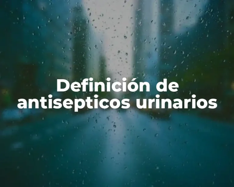 Definición de antisepticos urinarios