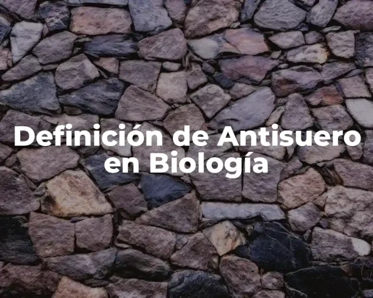 Definición de Antisuero en Biología