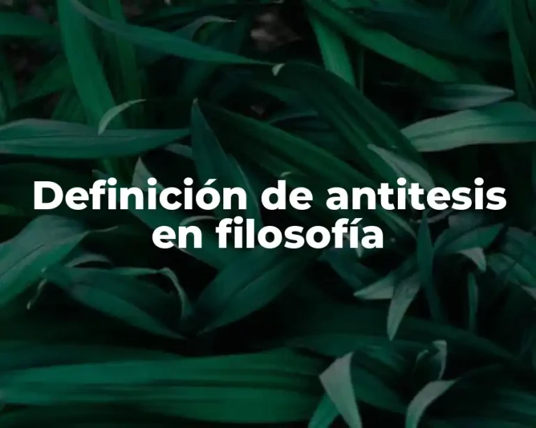 Definición de antitesis en filosofía