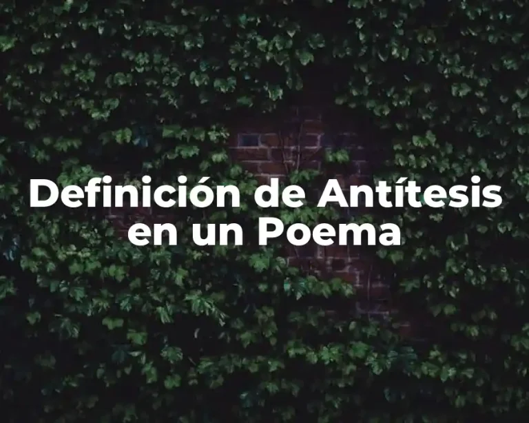 Definición de Antítesis en un Poema