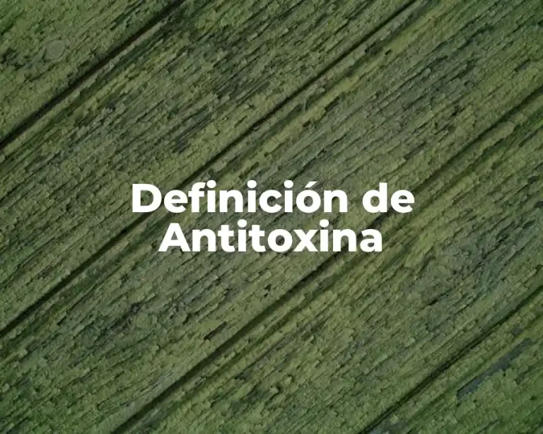 Definición de Antitoxina