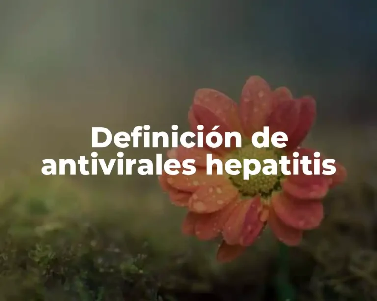 Definición de antivirales hepatitis