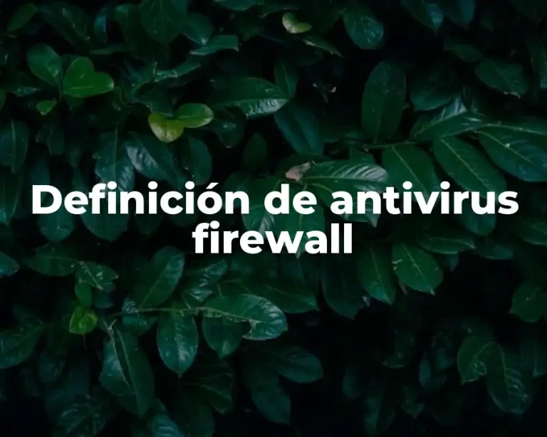 Definición de antivirus firewall