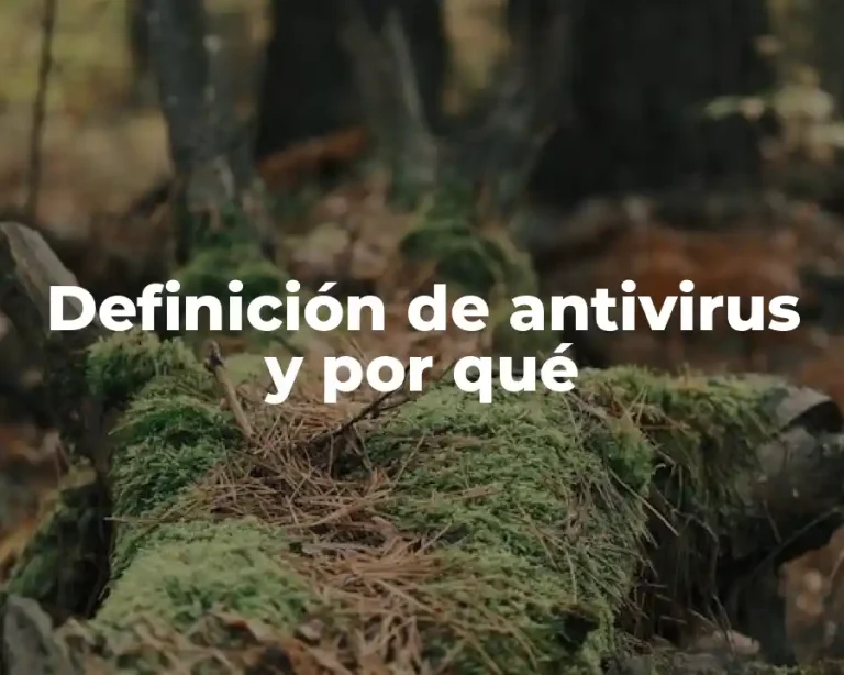 Definición de antivirus y por qué