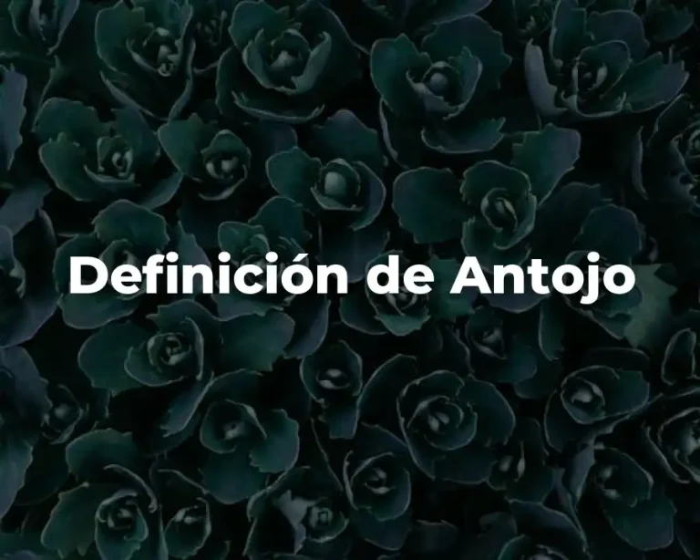 Definición de Antojo