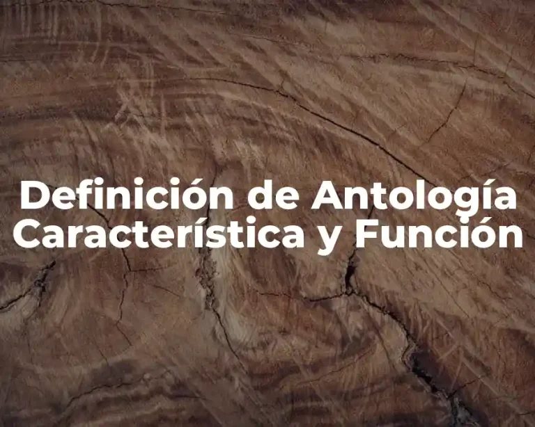 Definición de Antología Característica y Función