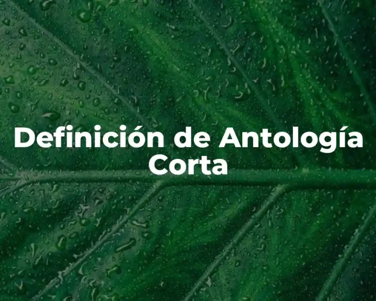 Definición de Antología Corta