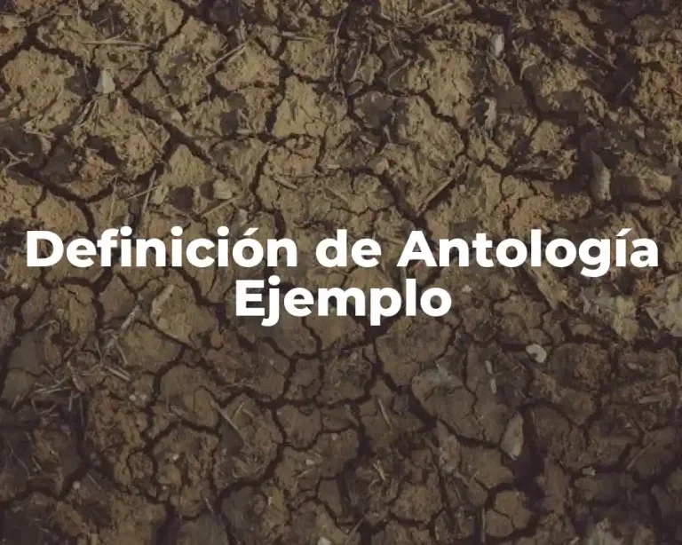 Definición de Antología Ejemplo