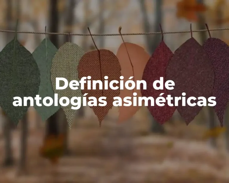 Definición de antologías asimétricas