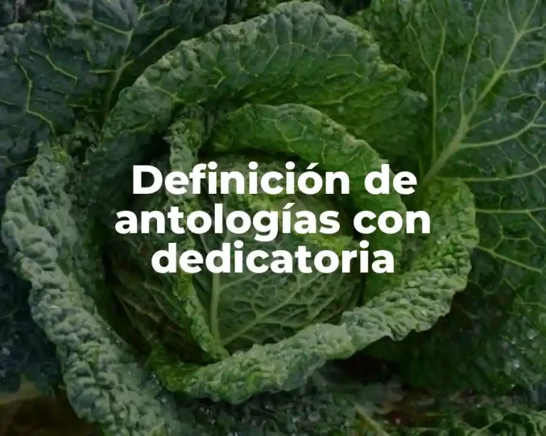 Definición de antologías con dedicatoria