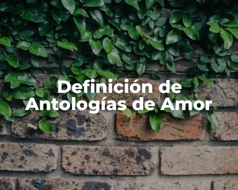 Definición de Antologías de Amor