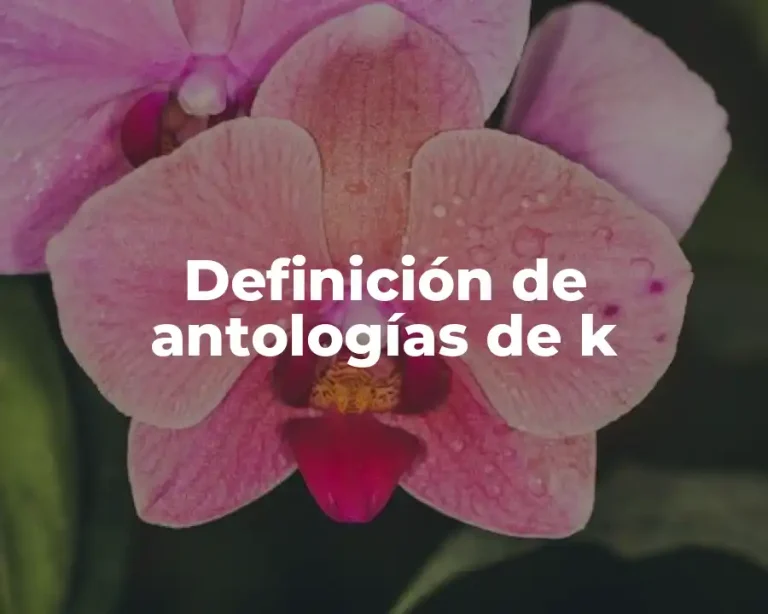 Definición de antologías de k