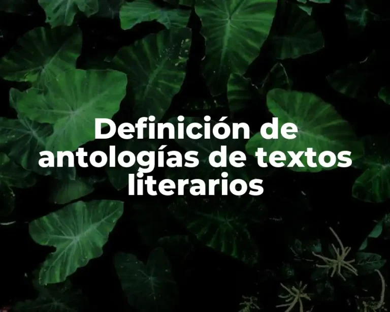 Definición de antologías de textos literarios