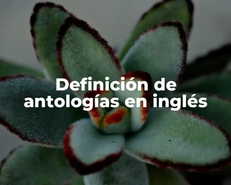 Definición de antologías en inglés