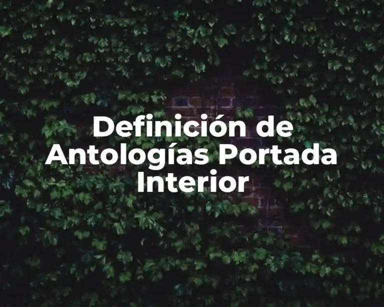 Definición de Antologías Portada Interior