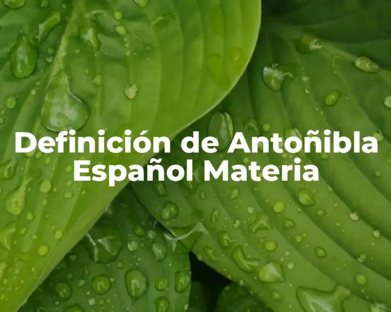 Definición de Antoñibla Español Materia