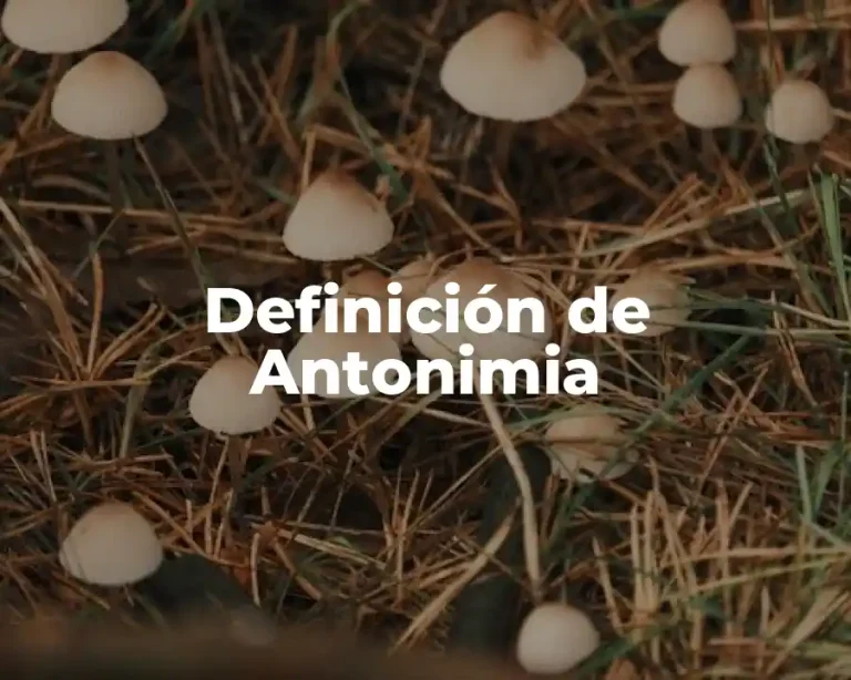 Definición de Antonimia