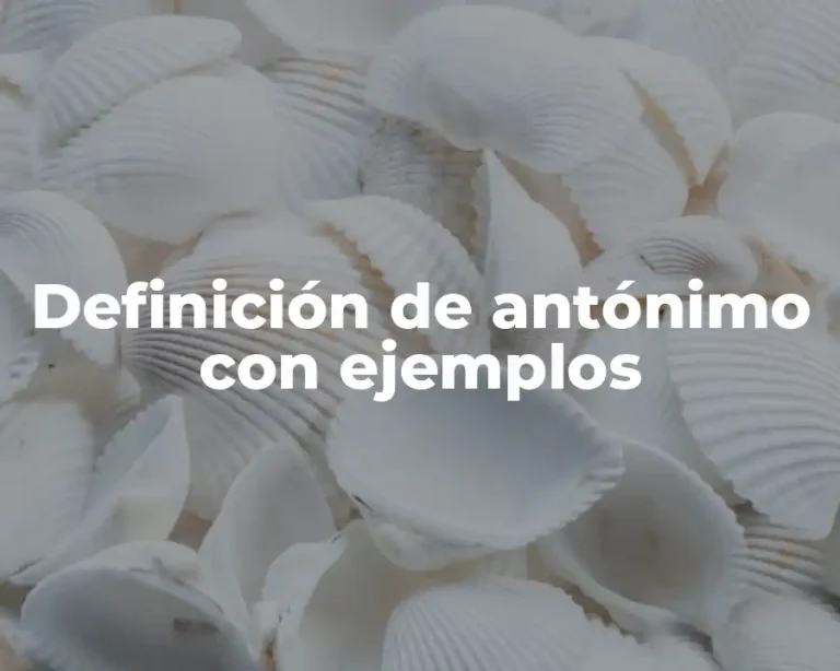 Definición de antónimo con ejemplos