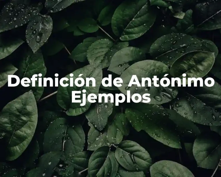 Definición de Antónimo Ejemplos