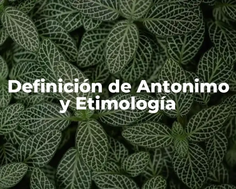 Definición de Antonimo y Etimología