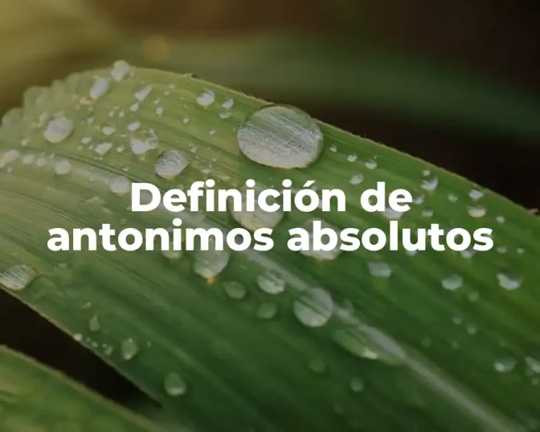 Definición de antonimos absolutos