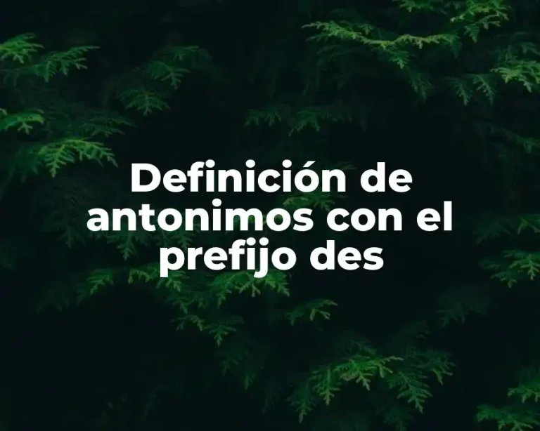 Definición de antonimos con el prefijo des