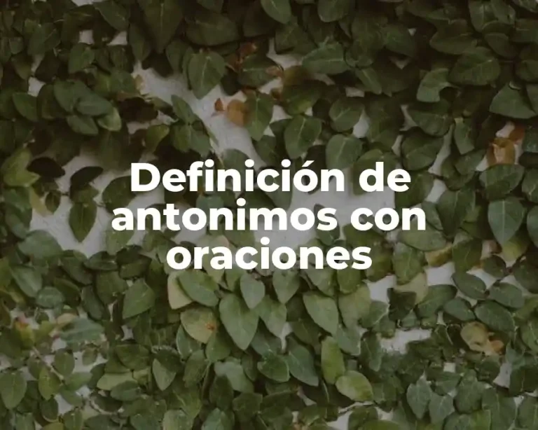 Definición de antonimos con oraciones