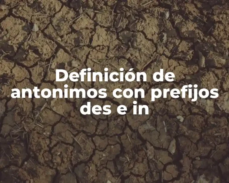 Definición de antonimos con prefijos des e in