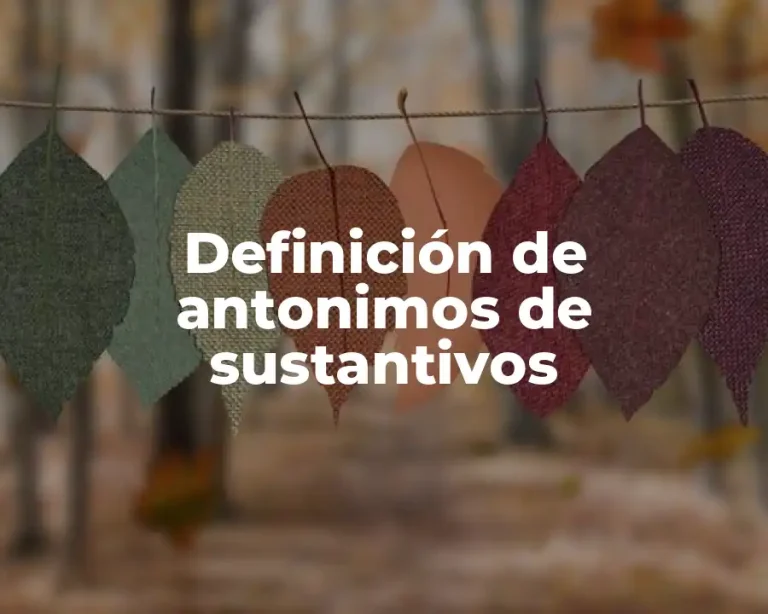 Definición de antonimos de sustantivos