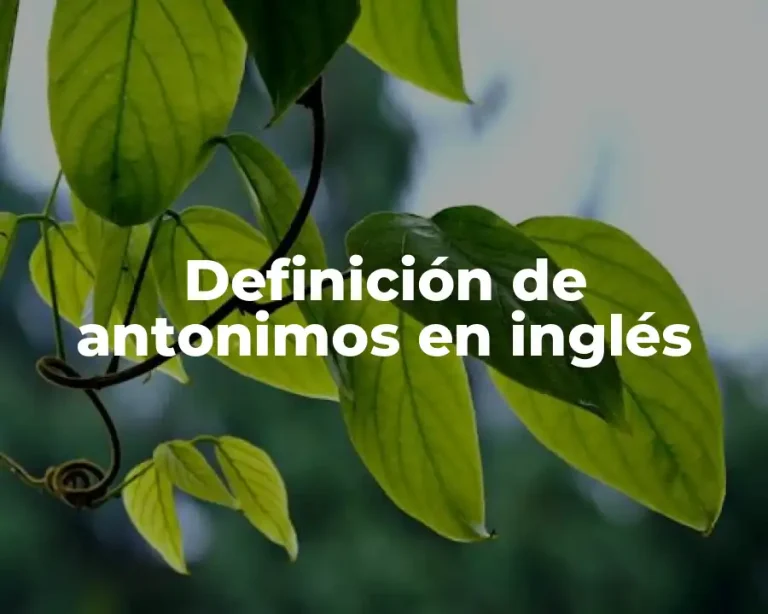 Definición de antonimos en inglés