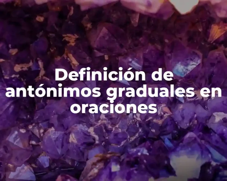 Definición de antónimos graduales en oraciones
