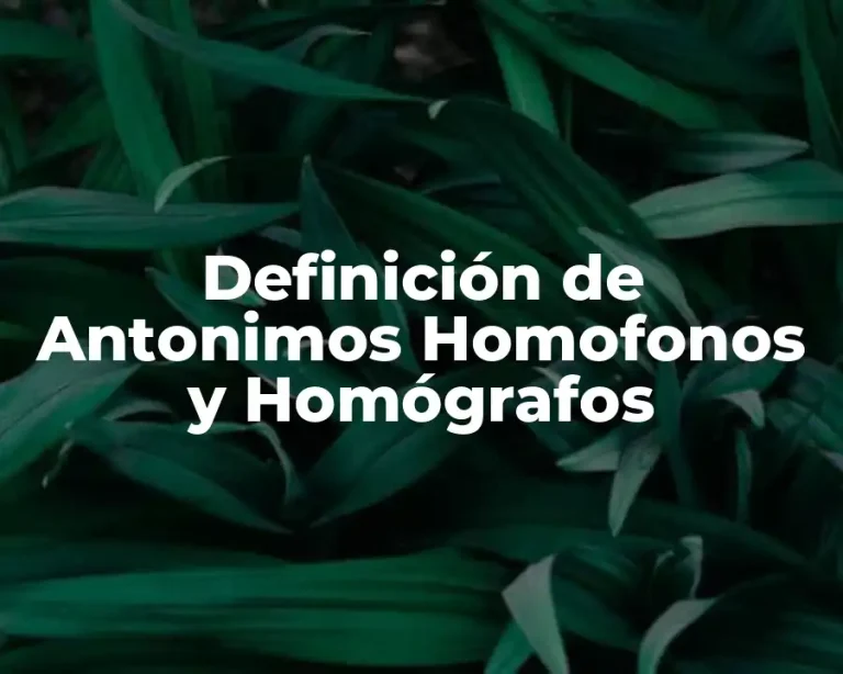 Definición de Antonimos Homofonos y Homógrafos
