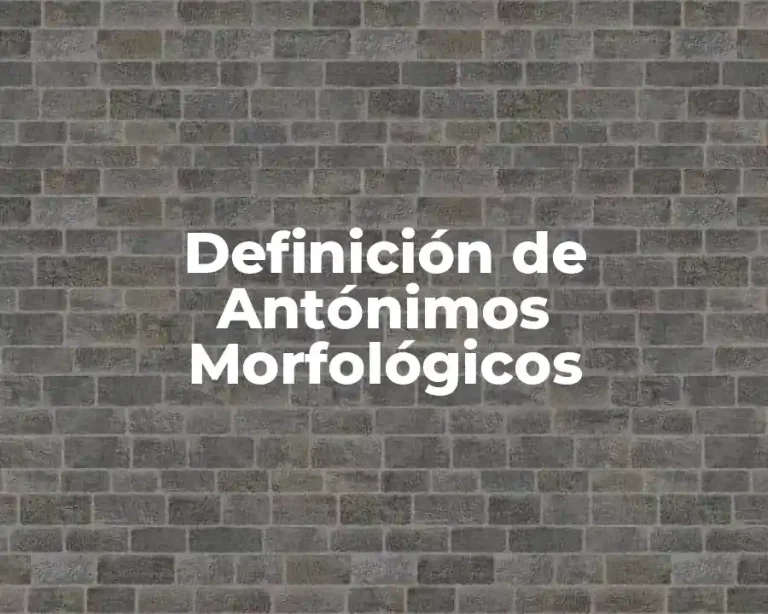 Definición de Antónimos Morfológicos