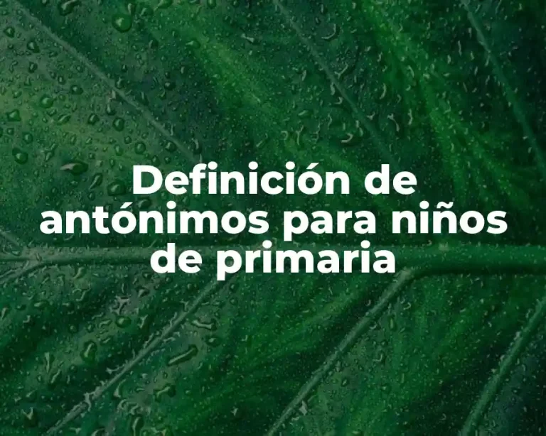 Definición de antónimos para niños de primaria