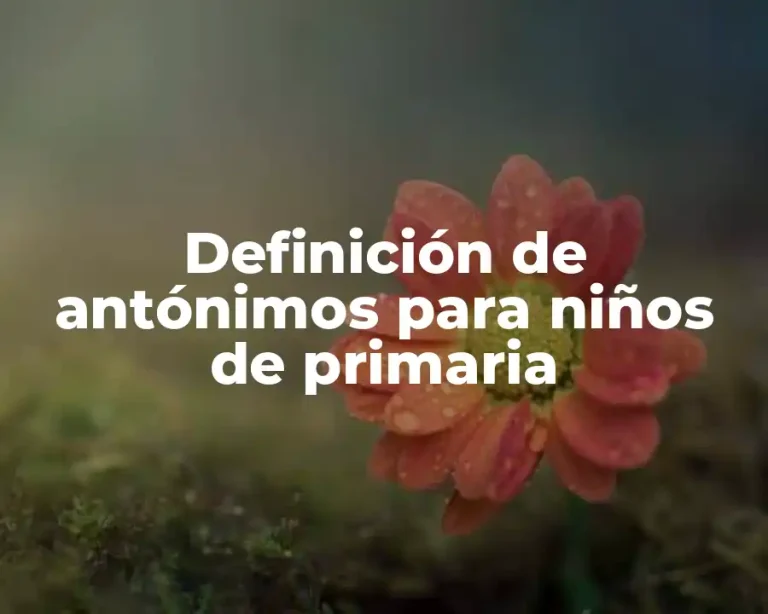 Definición de antónimos para niños de primaria