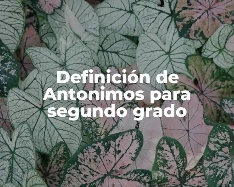 Definición de Antonimos para segundo grado