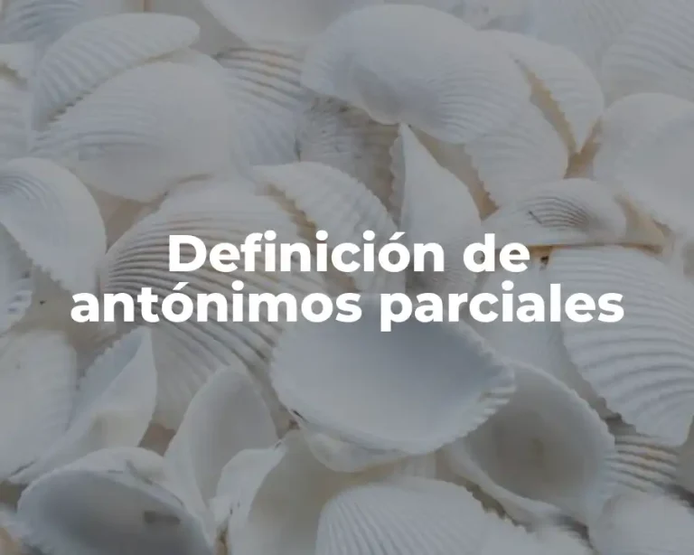 Definición de antónimos parciales