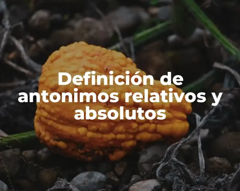 Definición de antonimos relativos y absolutos
