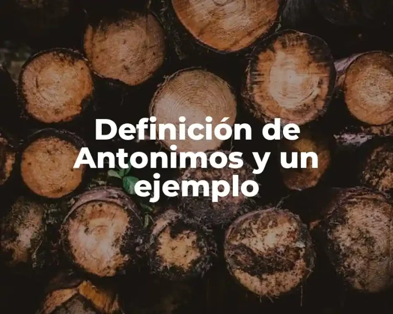 Definición de Antonimos y un ejemplo