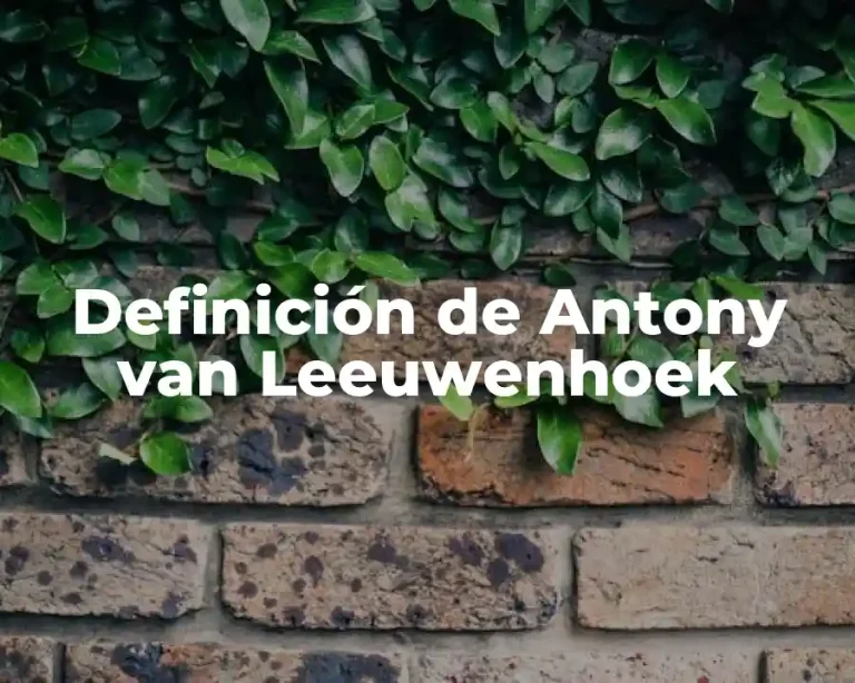 Definición de Antony van Leeuwenhoek