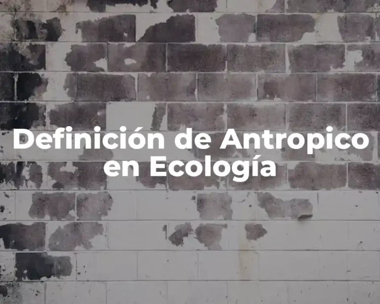 Definición de Antropico en Ecología
