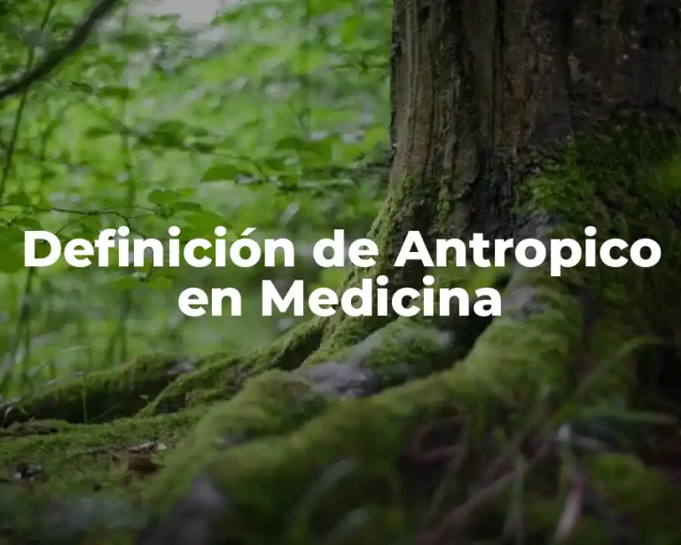 Definición de Antropico en Medicina