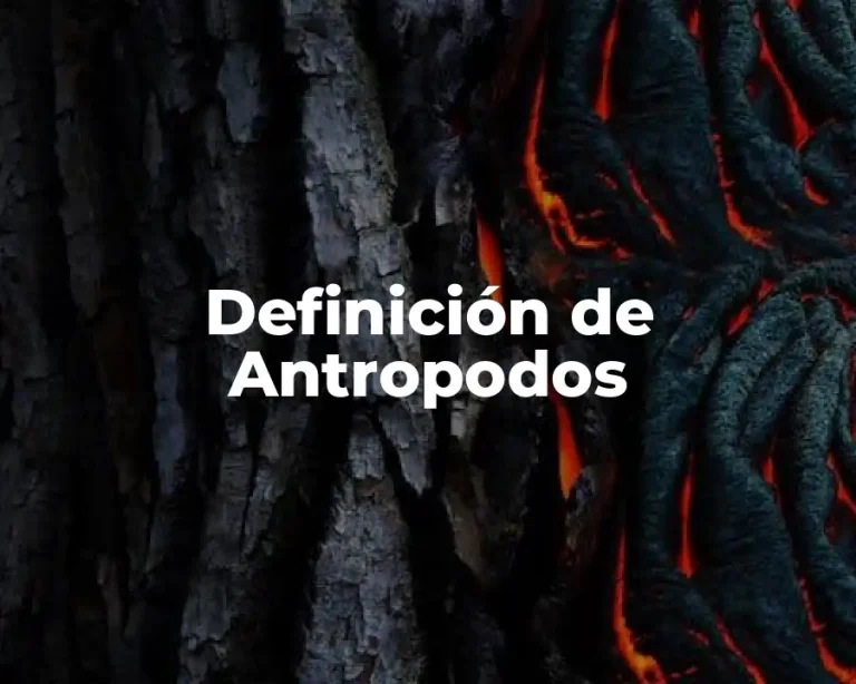 Definición de Antropodos