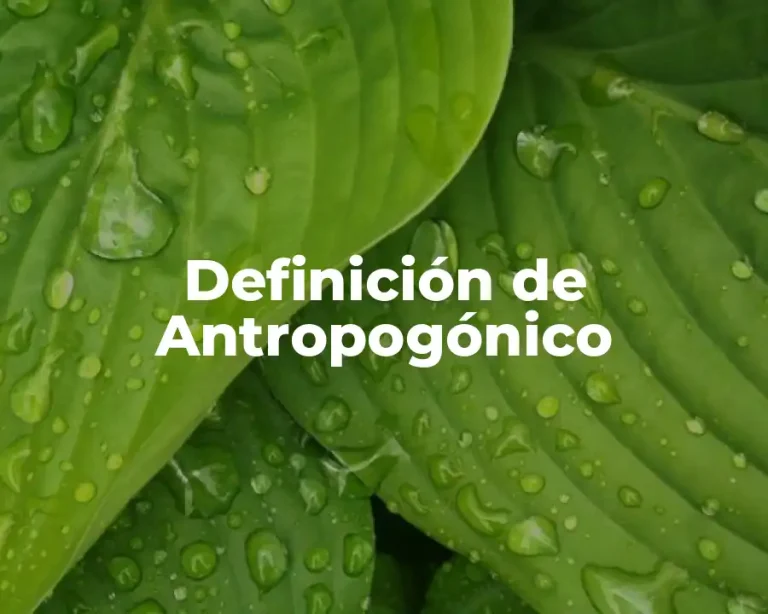 Definición de Antropogónico