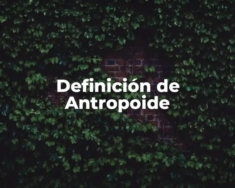 Definición de Antropoide