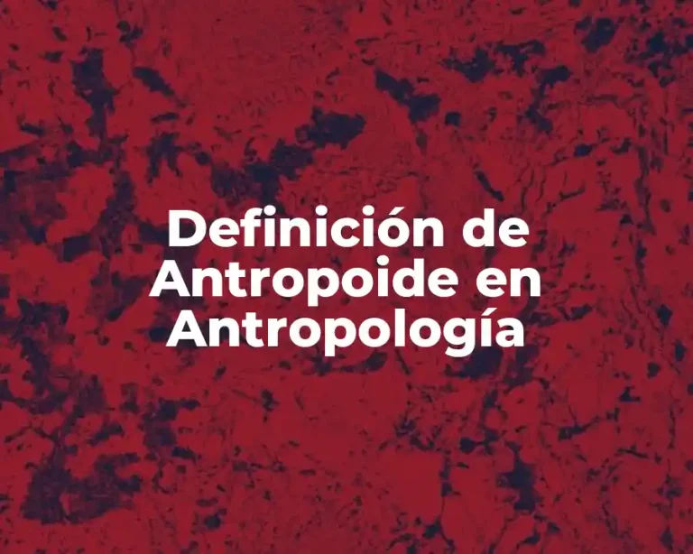 Definición de Antropoide en Antropología