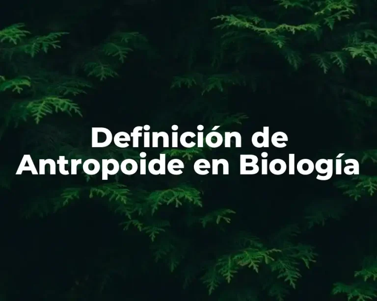 Definición de Antropoide en Biología