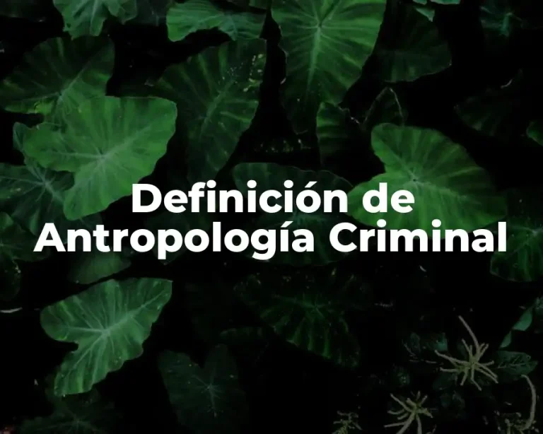 Definición de Antropología Criminal