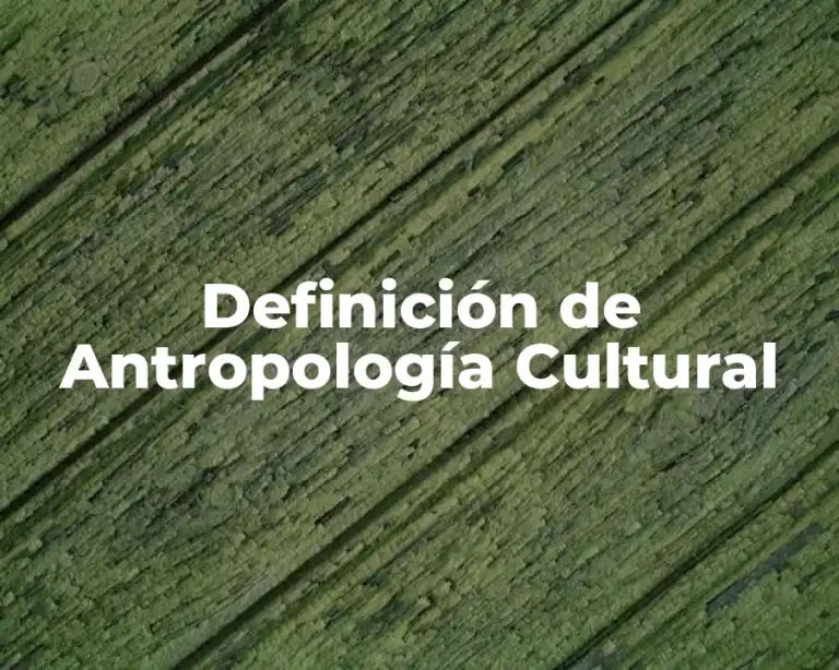 Definición de Antropología Cultural