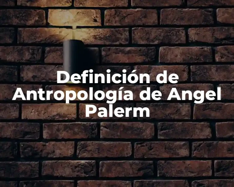 Definición de Antropología de Angel Palerm